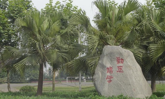 四川电大有什么专业可以学 怎么选择专业