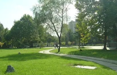 2025年四川自考怎么报名 新生报考条件公布