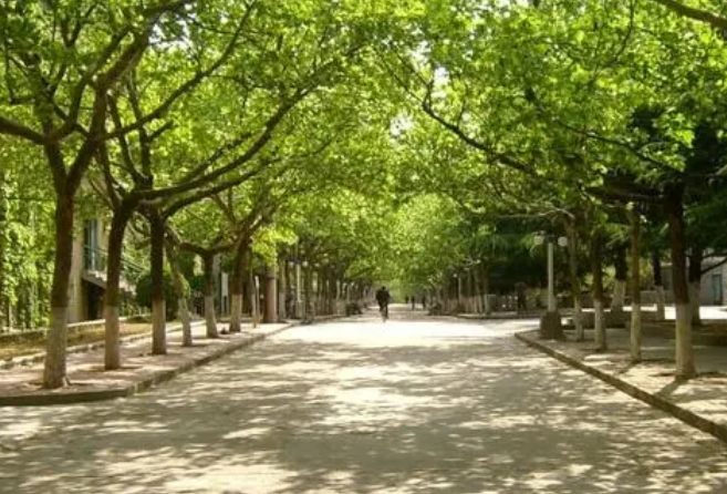 2025年四川自考大专考试时间几月份 具体几点到几点
