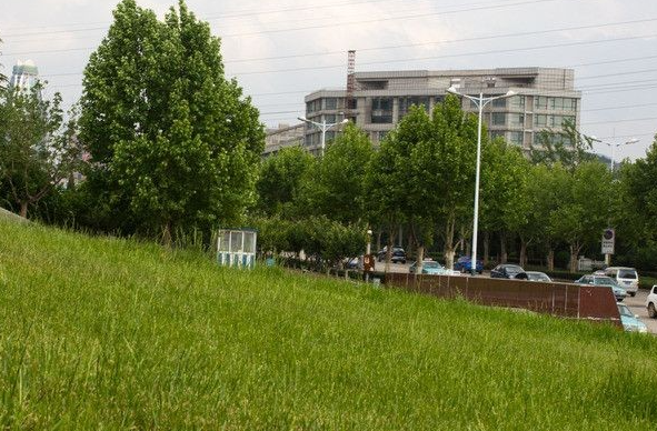 2025年四川4月自考官网查询系统全解析 入口在几月开启