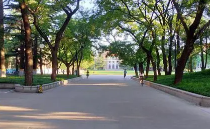 2025年四川自考大专需要什么条件 适合哪些人报考
